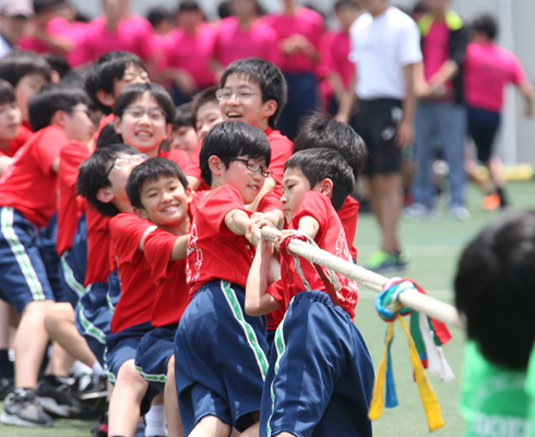 獨協 体育祭の様子
