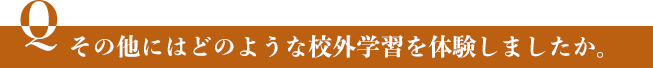 その他にはどのような校外学習を体験しましたか。