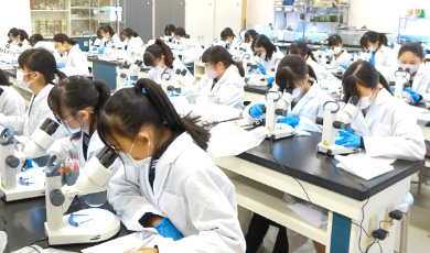 留学のようす