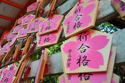中学受験で失敗した人は大学受験で成功する