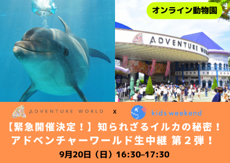 キッズシーズ株式会社