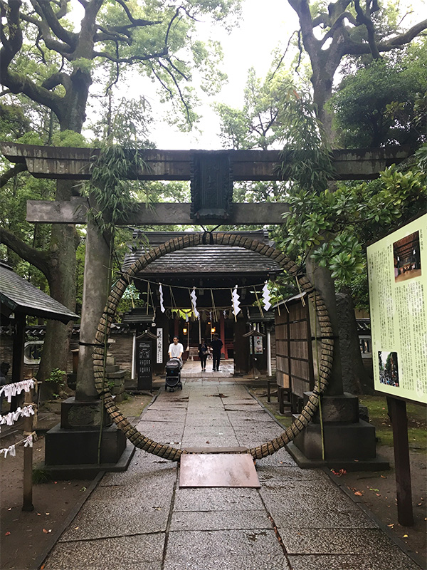 昨年行った赤坂氷川神社の茅の輪