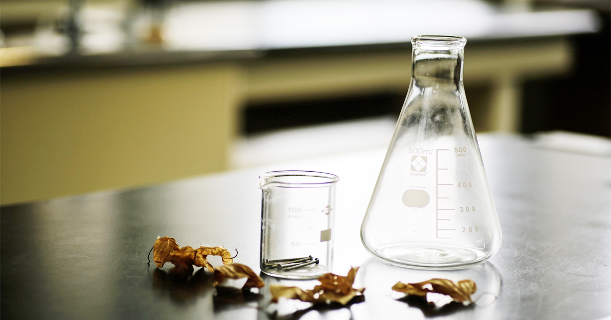 まだ諦めないで！理科・社会の最後の得点アップ方法 | インターエデュ