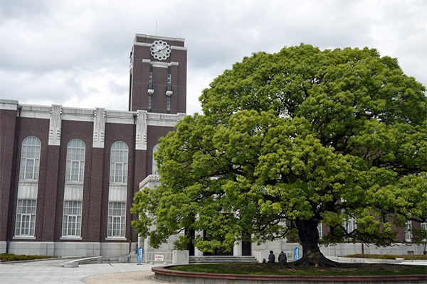 京都大学の大学博物館