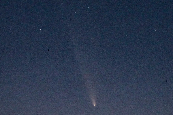 紫金山・アトラス彗星の写真