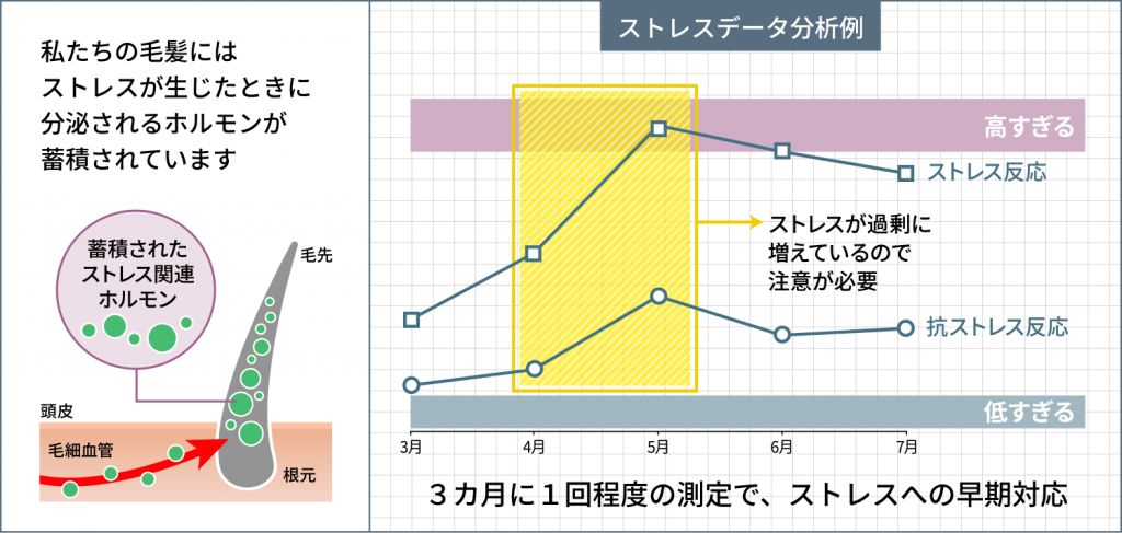 毛髪でストレスを診断する仕組み