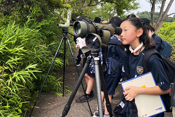 探究活動中（鳥）の画像