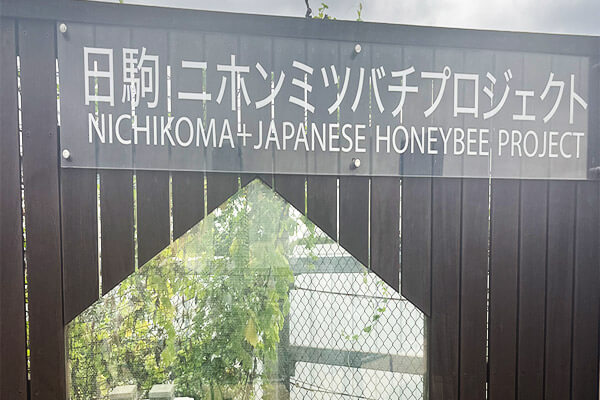 日駒ニホンミツバチプロジェクト