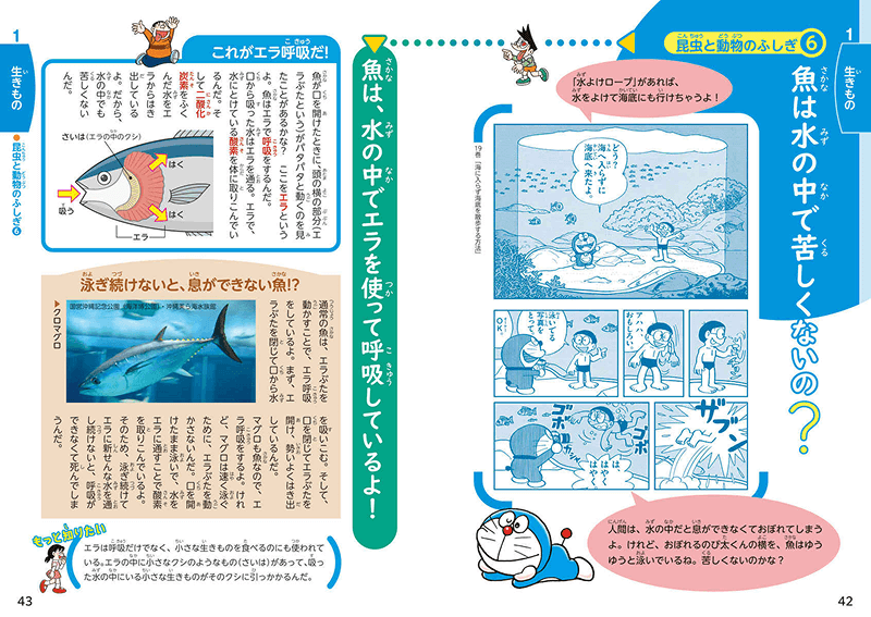 図鑑のページ例「魚は水の中で苦しくないの？」